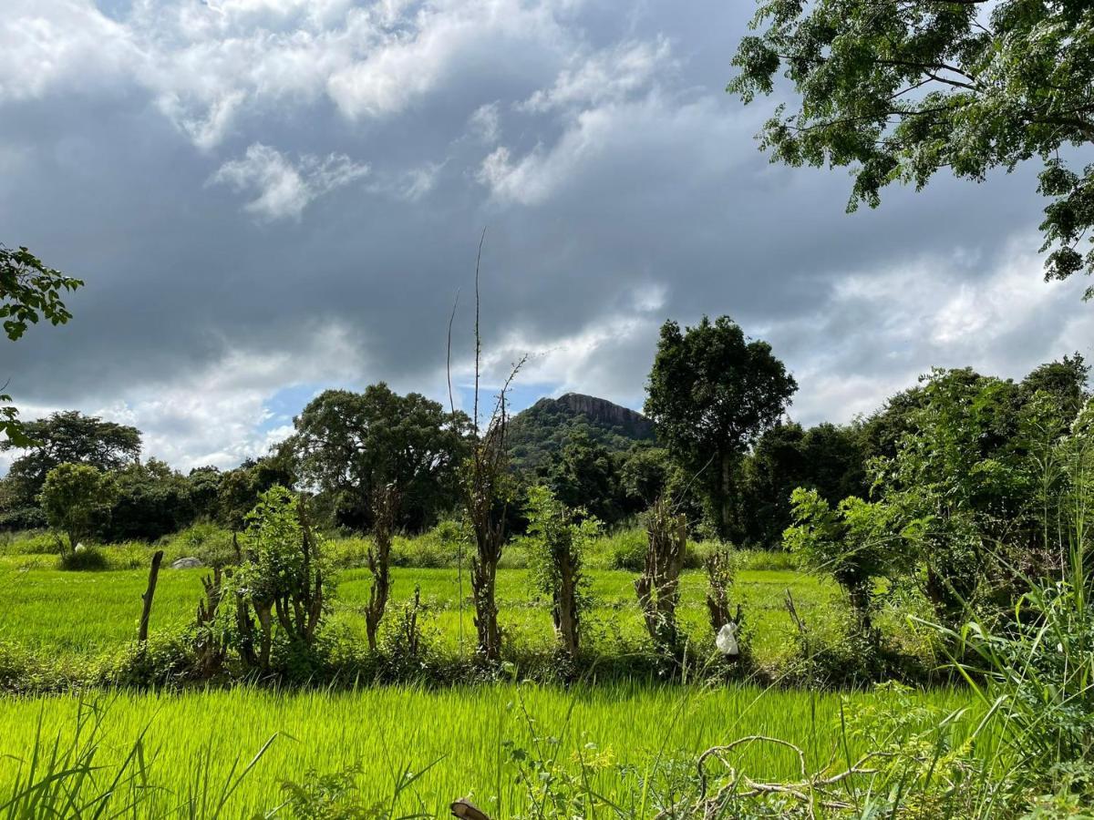 Thilina Homestay Sigiriya Exteriér fotografie